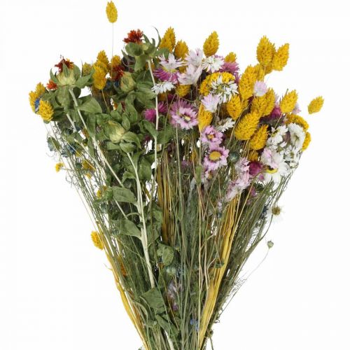 Floristik24 Ramo de flores secas Ramo de flores secas Buquê de flores do prado 58cm