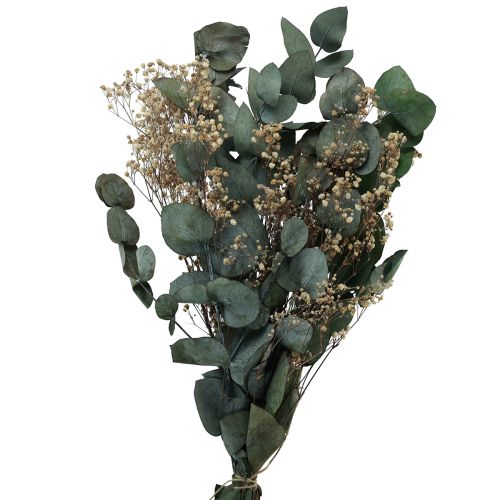 Floristik24 Buquê de flores secas eucalipto gypsophila preservada 50cm verde