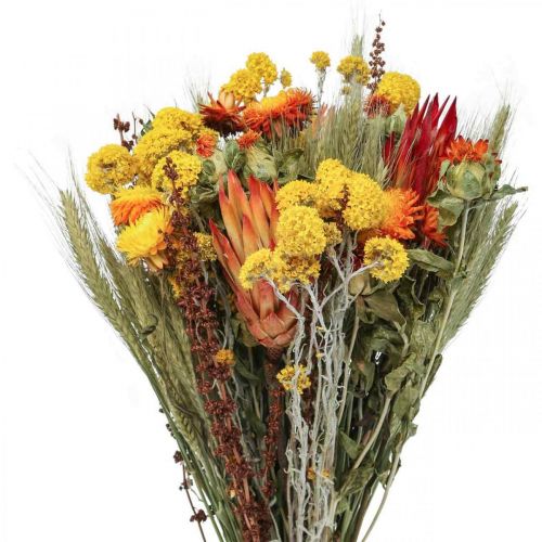 Floristik24 Ramo de flores secas Ramo de flores de campo Laranja A50cm 300g