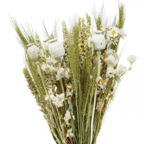 Itens Buquê de flores secas flores de palha cápsula de grão de papoula erva seca 50cm