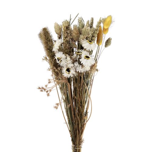 Itens Buquê de flores secas flores de palha Phalaris branco amarelo 30cm