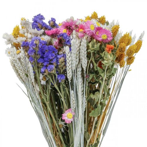 Floristik24 Buquê de flores secas flores de palha praia lavanda grão Phalaris 55cm