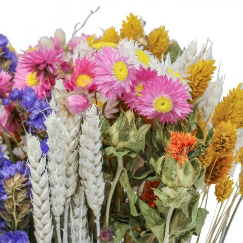 Floristik24 Buquê de flores secas flores de palha praia lavanda grão Phalaris 55cm