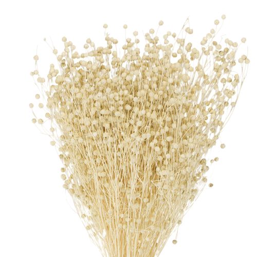 Floristik24 Linho seco natural branqueado 50-55cm 180g