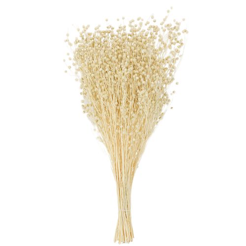 Itens Linho seco natural branqueado 50-55cm 180g