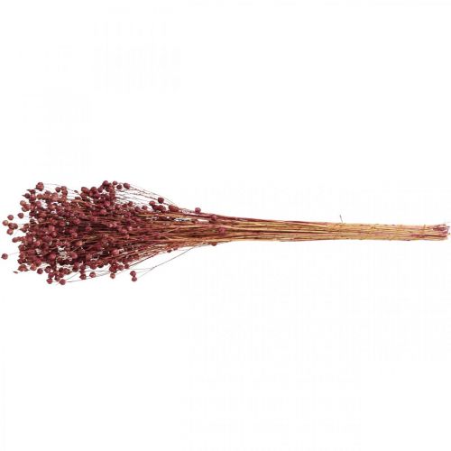 Itens Grama Seca Linho Seco Rosa Velho Alt.50–55cm 80g