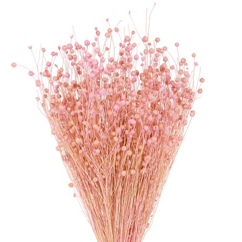 Itens Grama Seca Linho Seco Rosa Claro Alt.50–55cm 80g