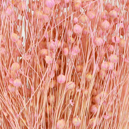 Itens Grama Seca Linho Seco Rosa Claro Alt.50–55cm 80g