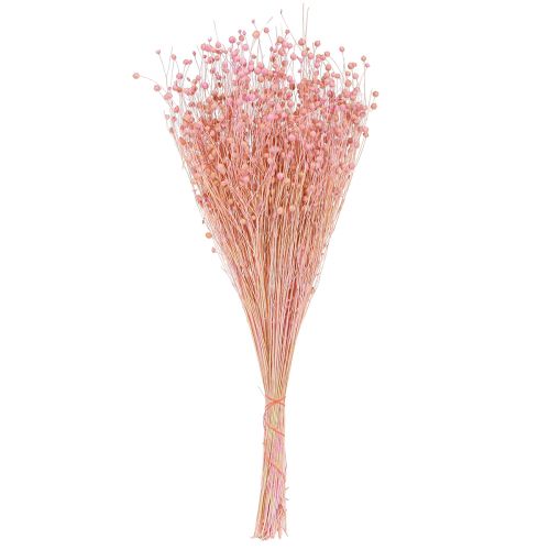 Itens Grama Seca Linho Seco Rosa Claro Alt.50–55cm 80g