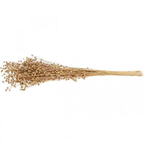 Floristik24 Erva Seca Linho Seco Natural H50-55cm 80g