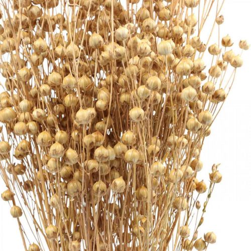 Floristik24 Erva Seca Linho Seco Natural H50-55cm 80g