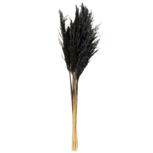 Itens Capim seco, junco, preto, 70 cm, tendência decorativa, 10 peças