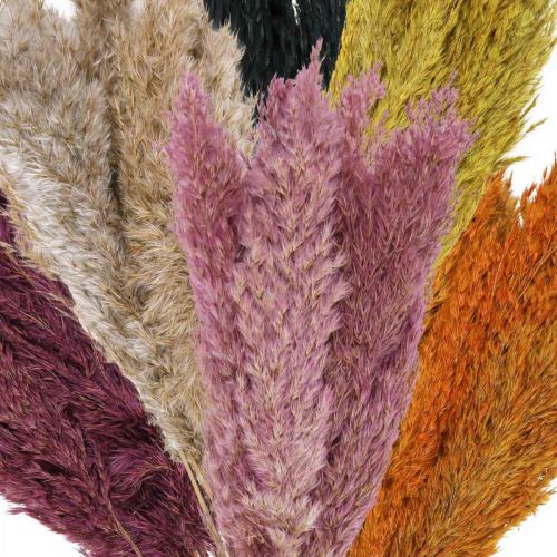 Erva Seca Junça Seca várias cores 70cm 10uds