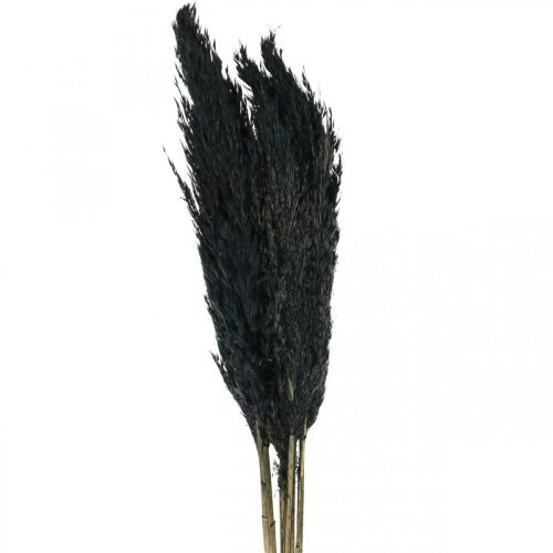 Itens Grama seca junça grama decorativa preta seca 70 cm 10 peças