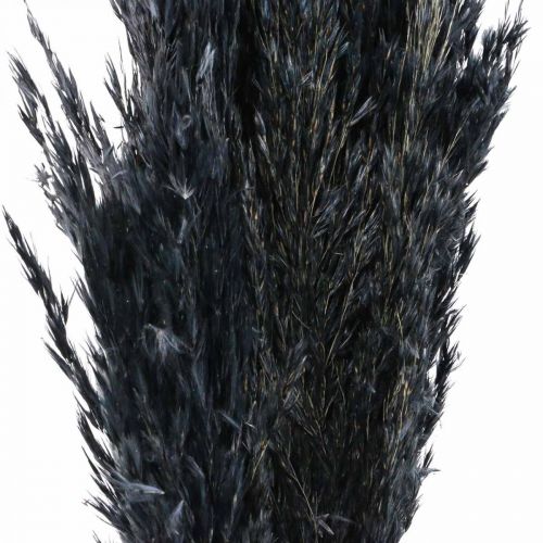 Itens Grama seca junça grama decorativa preta seca 70 cm 10 peças