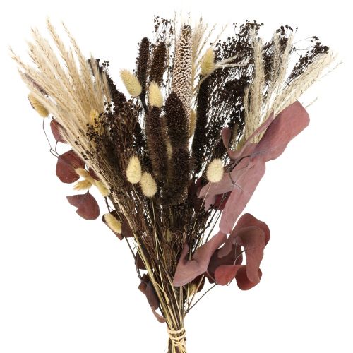 Floristik24 Bouquet seco buquê capim seco eucalipto 60cm 120g