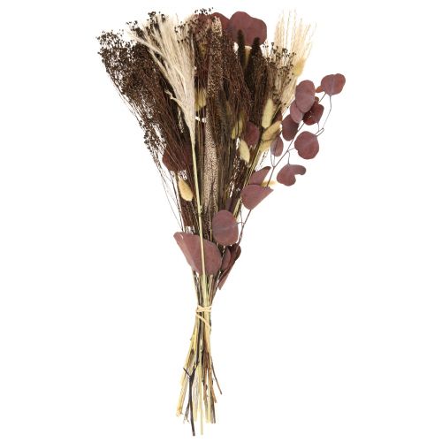 Floristik24 Bouquet seco buquê capim seco eucalipto 60cm 120g