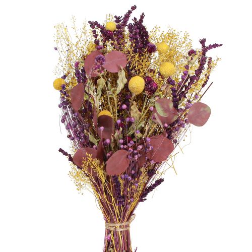 Floristik24 Buquê seco amarelo roxo verde craspedia eucalipto 53cm 150g