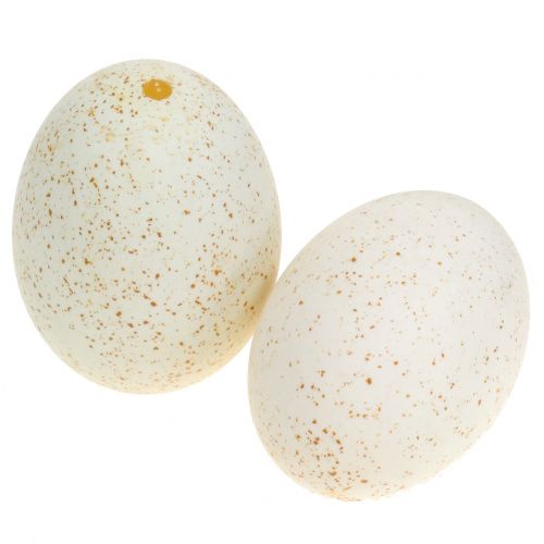 Itens Ovos de peru naturais 6,5cm 10 unidades