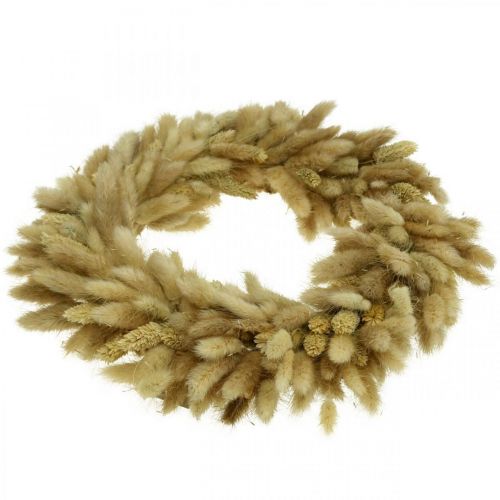 Itens Coroa de porta guirlanda de flores secas guirlanda de veludo grama Lagurus Ø31cm