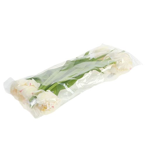 Floristik24 Creme de tulipa 37cm 6pcs