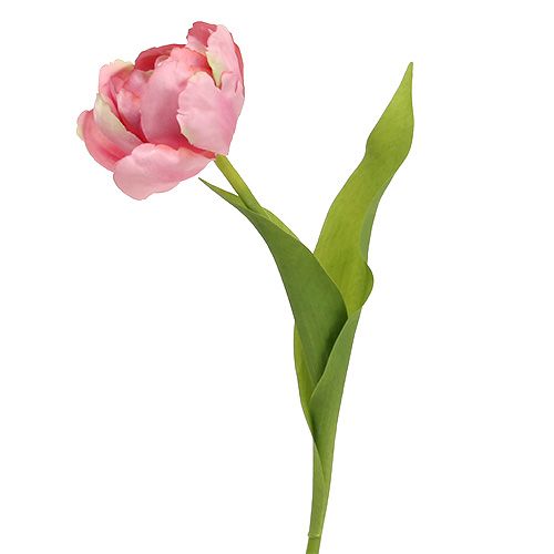 Floristik24 Rosa tulipa 37 cm 6 unidades