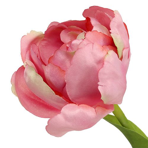 Floristik24 Rosa tulipa 37 cm 6 unidades