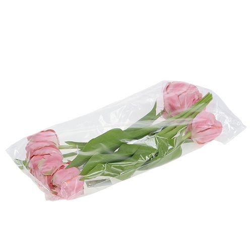 Floristik24 Rosa tulipa 37 cm 6 unidades