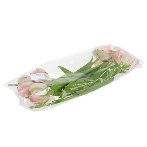 Floristik24 Rosa tulipa, verde 37 cm 6 unidades