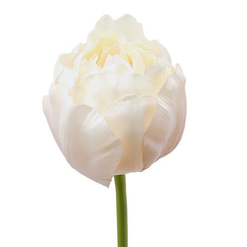 Floristik24 Tulipa branco-rosa 86cm 3pcs