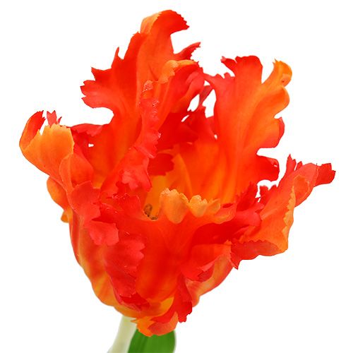 Itens Laranja tulipa 70cm