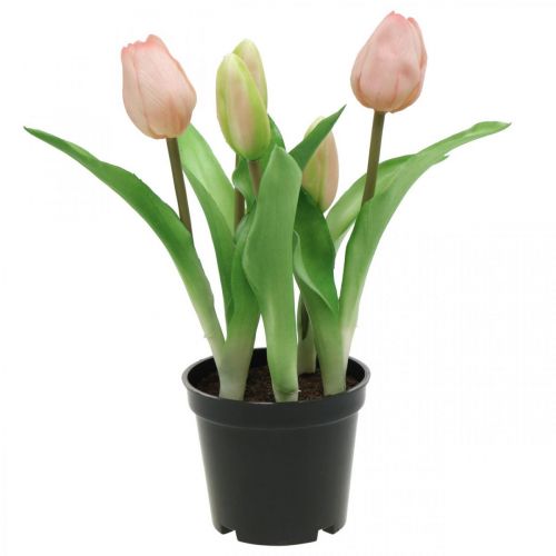 Floristik24 Tulipa rosa, verde em vaso Planta artificial em vaso Tulipa decorativa H23cm