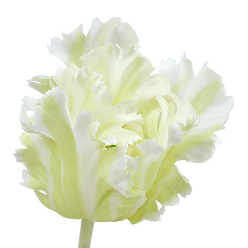 Floristik24 Tulipa branca artificial de 70 cm