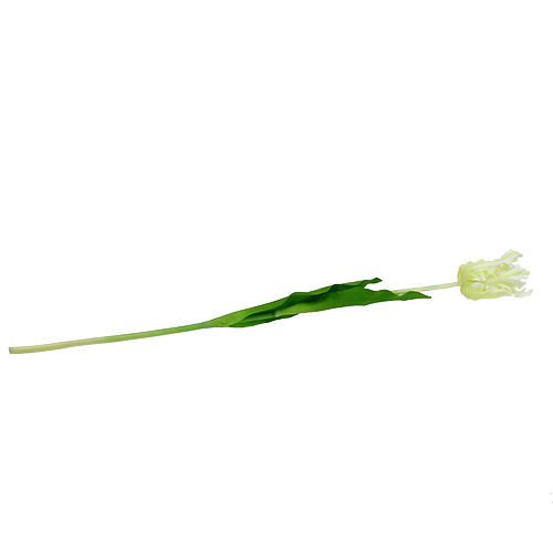 Floristik24 Tulipa branca artificial de 70 cm