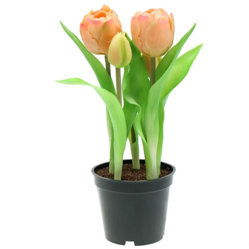 Floristik24 Pêssego Tulip Real-Touch 23cm