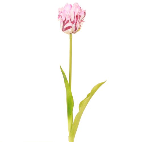 Itens Tulipas artificiais tulipas papagaio buquê roxo com 5 flores 40cm