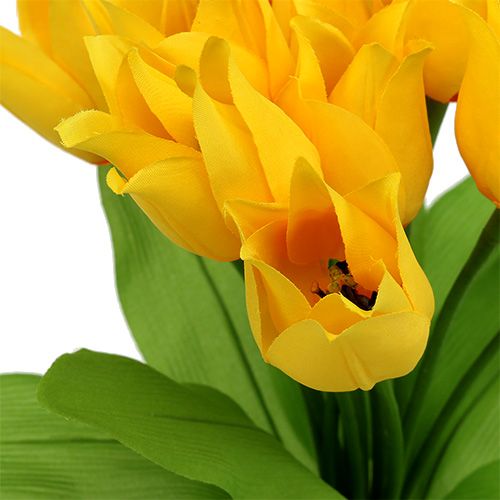 Floristik24 Tulip bush Amarelo H30cm
