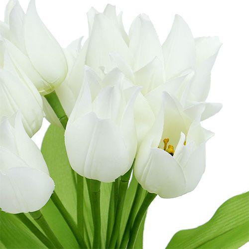 Floristik24 Arbusto de tulipa branco 30cm