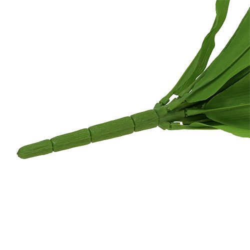 Floristik24 Arbusto de tulipa branco 30cm