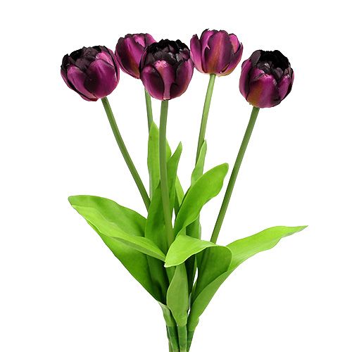 Floristik24 Buquê de tulipa 43 cm roxo