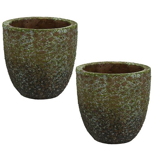 Floristik24 Plantador cinza musgoso, verde Ø14cm Alt.14cm 2pcs