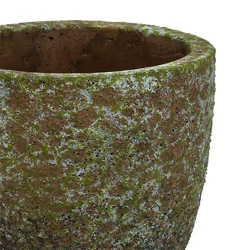 Floristik24 Plantador cinza musgoso, verde Ø14cm Alt.14cm 2pcs