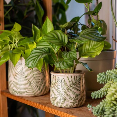 Floristik24 Plantador de barro samambaia vaso de cerâmica Ø15/10.5cm conjunto de 2