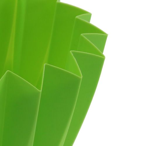 Floristik24 Pote Adonis Verde 14cm 20 un