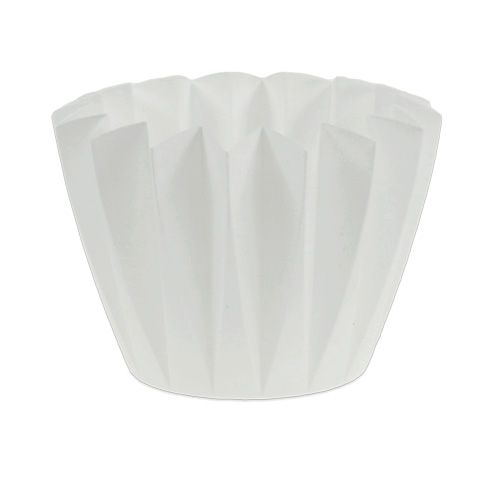 Floristik24 Pote Adonis branco 14cm 20p