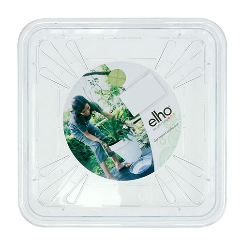 Floristik24 Coaster 20x20cm transparente, 1p