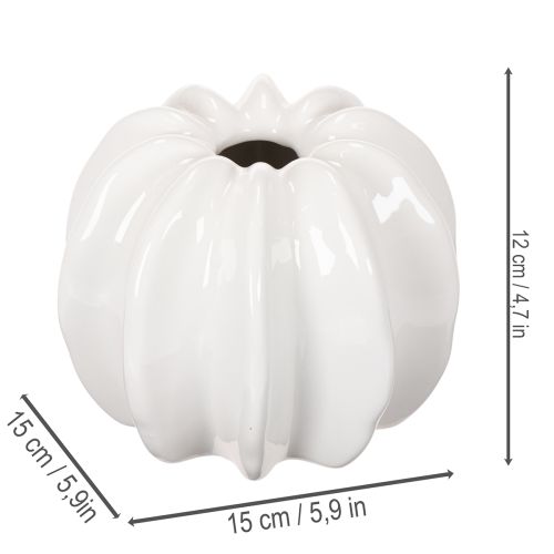 Vaso de cerâmica em formato de abóbora, branco, para decoração de casa, 15 cm | Floristik24.pt