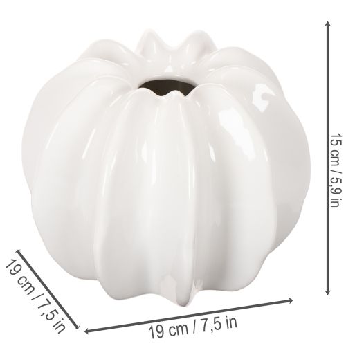 Vaso decorativo em formato de abóbora, com acabamento brilhante, ideal para decoração de outono na sala de estar, 19 cm | Floristik24.pt