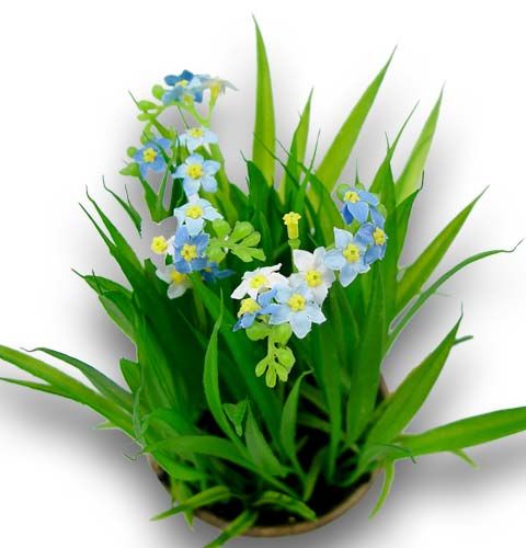 Floristik24 Miosótis com grama e tigela 18cm