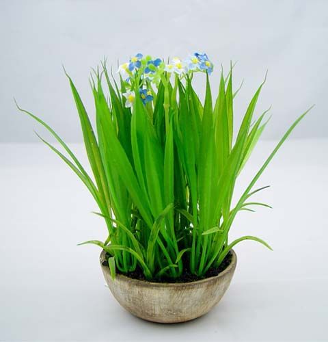 Floristik24 Miosótis com grama e tigela 18cm